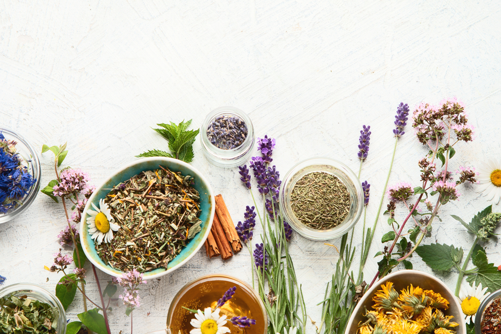 treating-stress-and-anxiety-with-herbs