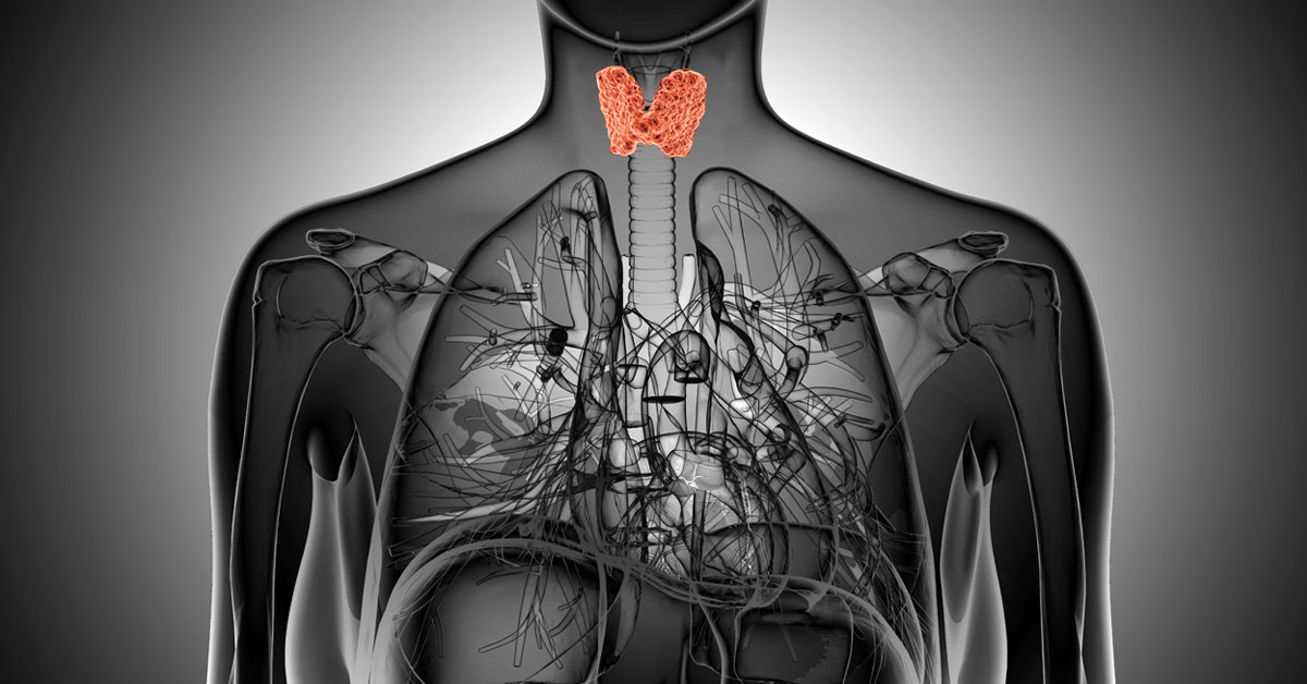 the-impact-of-nutrition-on-hyperthyroidism