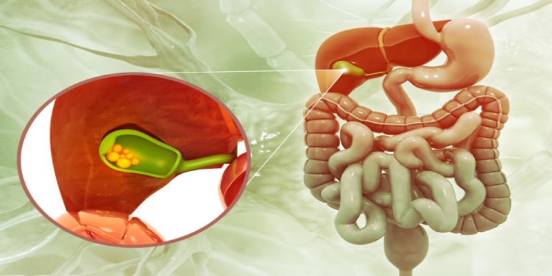 what-is-the-gallbladder